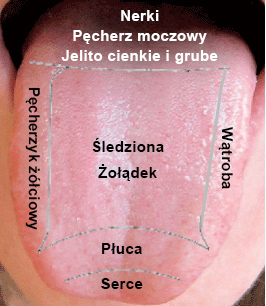 Popis jazyka