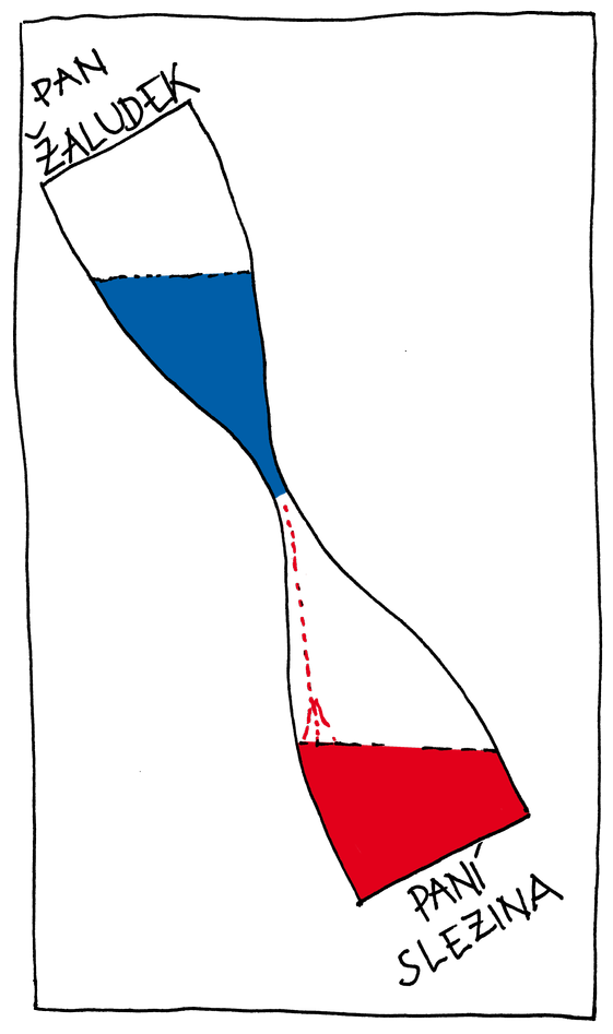 Pan žaludek / paní slezina