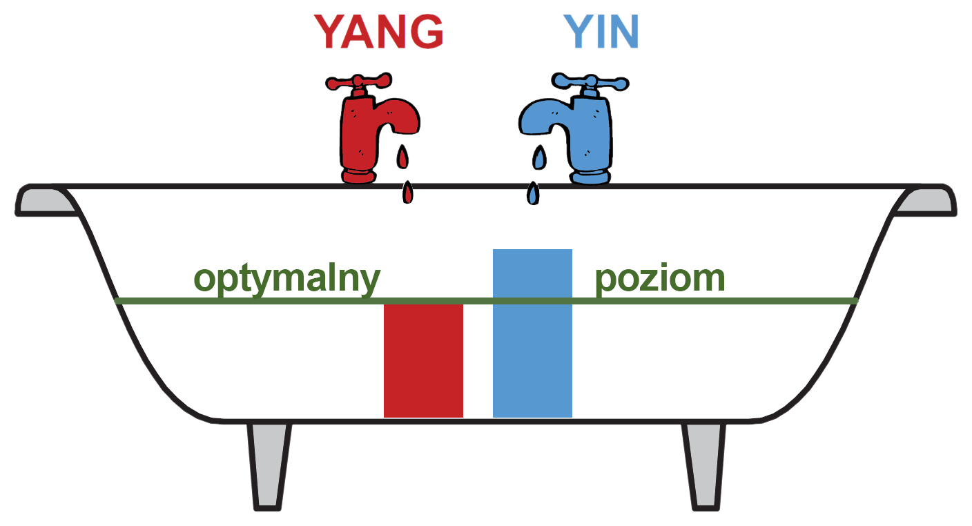 Nadbytek YIN